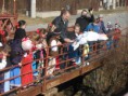 /album/fotogaleria-rozlucka-so-zimou/dscn5483-jpg/